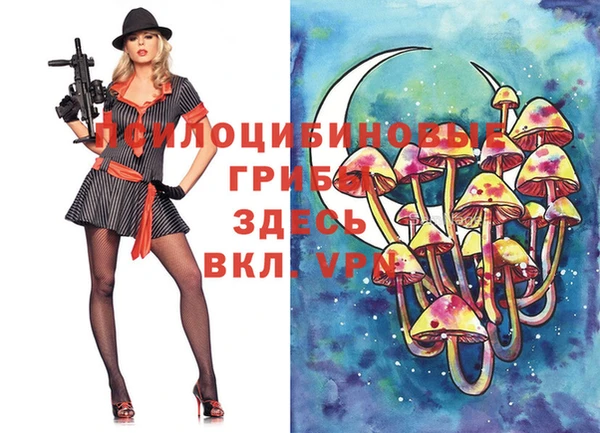 МДМА Лагань